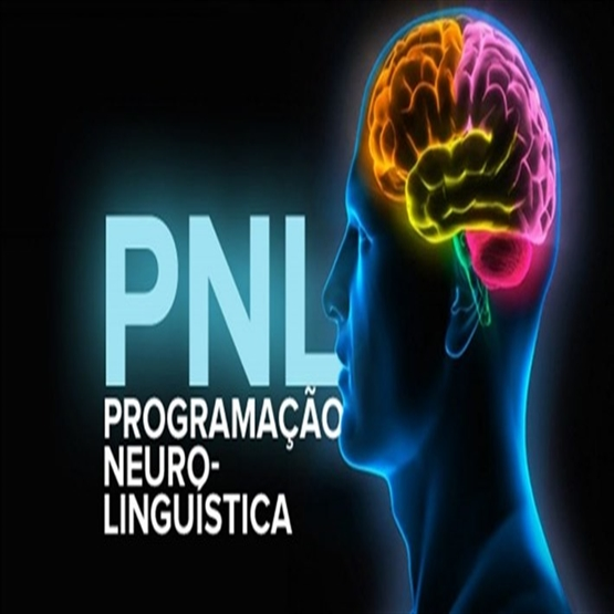 INTRODUÇAO A PNL